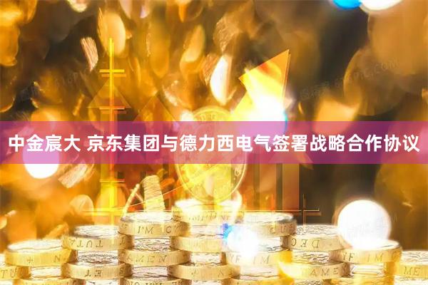 中金宸大 京东集团与德力西电气签署战略合作协议
