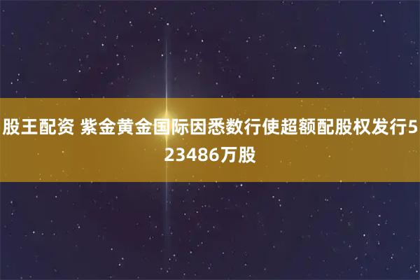 股王配资 紫金黄金国际因悉数行使超额配股权发行523486万股